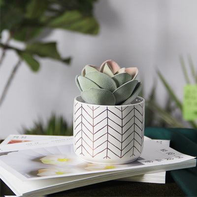 Pot de fleurs