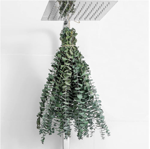 Plante Artificielle